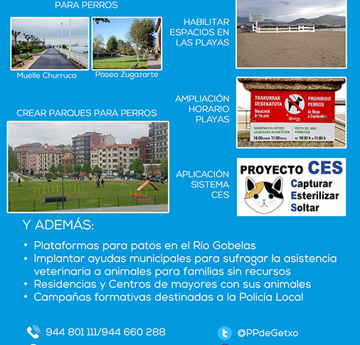 Andrade presenta sus propuestas destinadas a mejorar la vida de las mascotas
