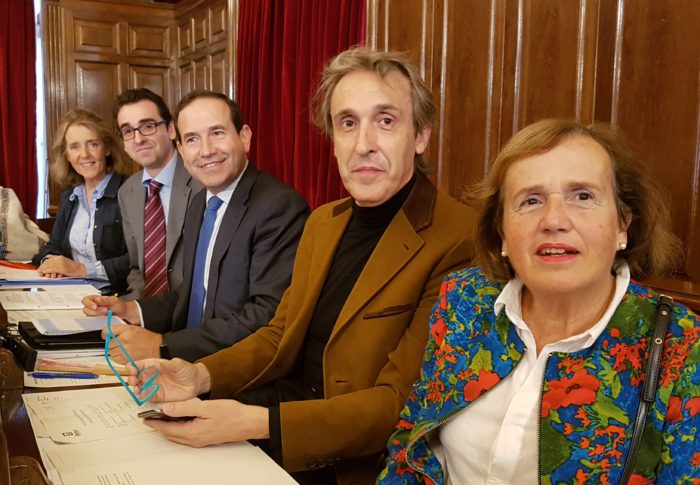 Pleno de octubre 2019
