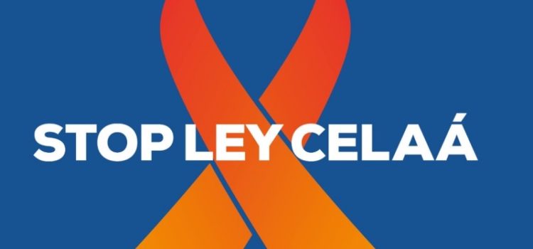 El PP de Getxo se queda solo en el rechazo de la Ley Celaa