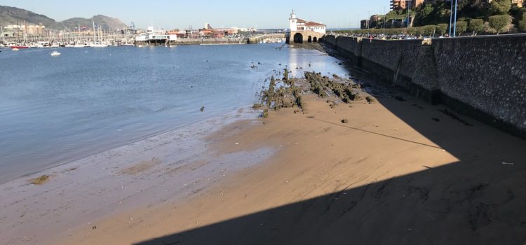 El PP lamenta que el Ayuntamiento de Getxo se niegue a habilitar una playa para perros en el municipio