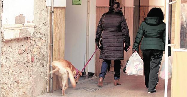 El PP pide el uso de repelente ecológico para tratar el problema de orines de perros y gatos