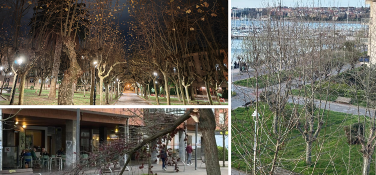 El Partido Popular de Getxo exige una revisión exhaustiva del servicio de jardinería